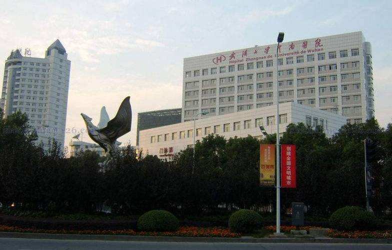 son şirket davası hakkında Wuhan Üniversitesi Zhongnan Hastanesi